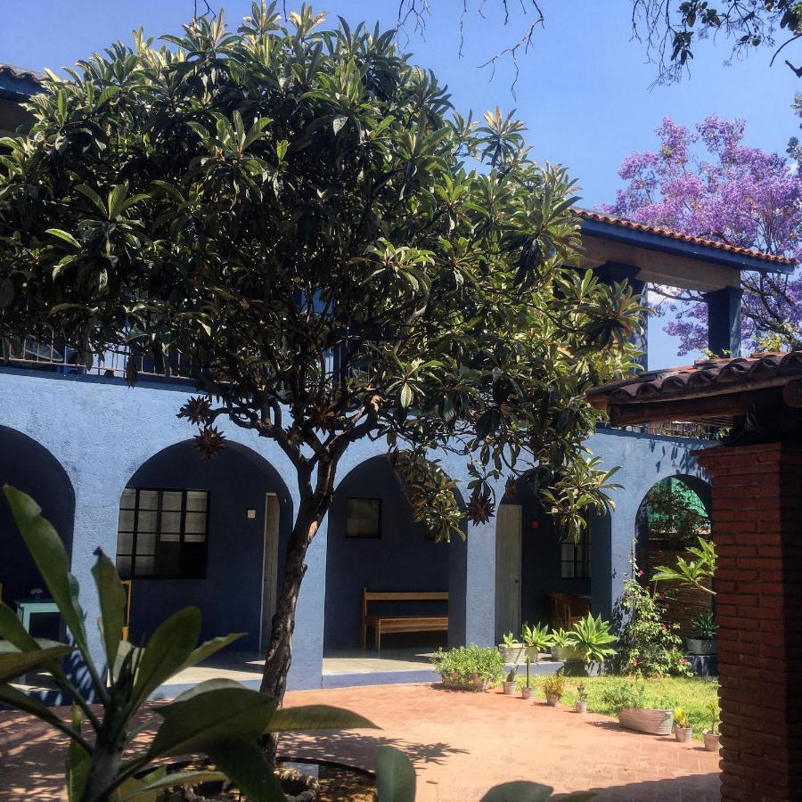 La Betulia Bed And Breakfast Oaxaca Екстер'єр фото